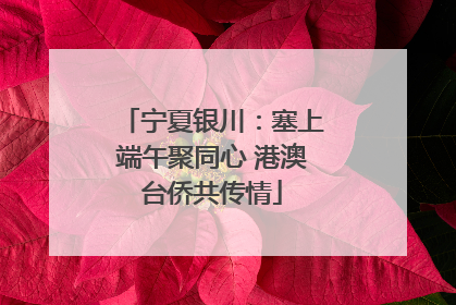 宁夏银川：塞上端午聚同心 港澳台侨共传情