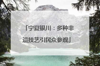宁夏银川：多种非遗技艺引民众参观