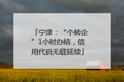 宁津：“个转企”1小时办结，信用代码无缝延续