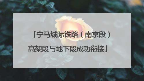 宁马城际铁路（南京段）高架段与地下段成功衔接