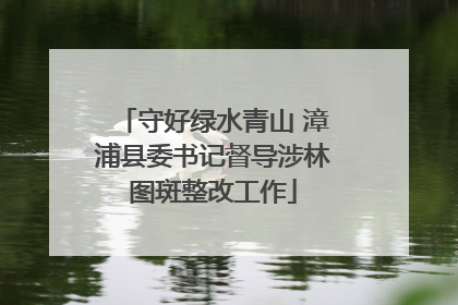 守好绿水青山 漳浦县委书记督导涉林图斑整改工作