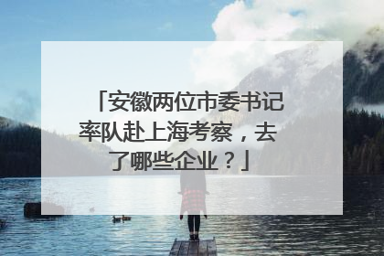 安徽两位市委书记率队赴上海考察，去了哪些企业？