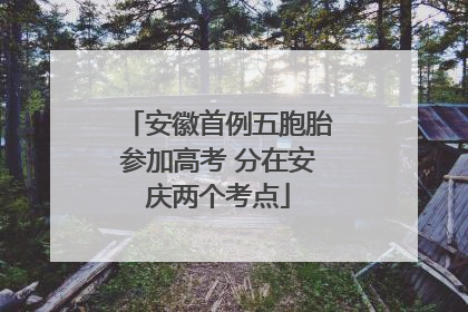 安徽首例五胞胎参加高考 分在安庆两个考点