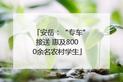 安岳：“专车”接送 惠及8000余名农村学生