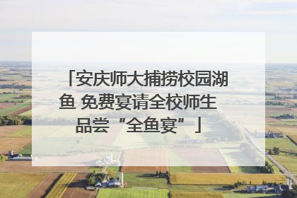 安庆师大捕捞校园湖鱼 免费宴请全校师生品尝“全鱼宴”
