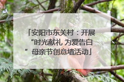 安阳市东关村：开展“时光献礼 为爱告白”母亲节创意墙活动