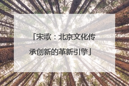 宋歌：北京文化传承创新的革新引擎