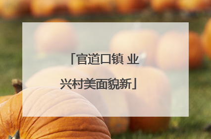官道口镇 业兴村美面貌新