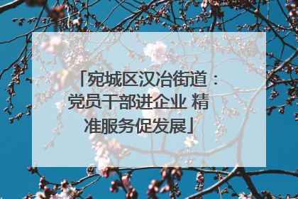 宛城区汉冶街道：党员干部进企业 精准服务促发展