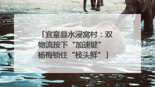 宜章县水浸窝村：双物流按下“加速键” 杨梅锁住“枝头鲜”