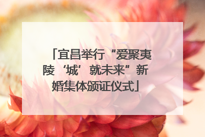 宜昌举行“爱聚夷陵‘城’就未来”新婚集体颁证仪式
