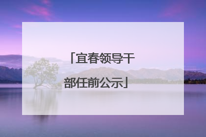 宜春领导干部任前公示