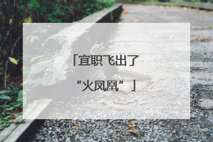 宜职飞出了“火凤凰”