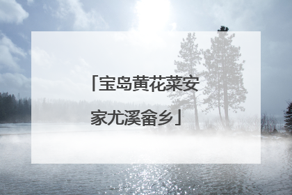 宝岛黄花菜安家尤溪畲乡
