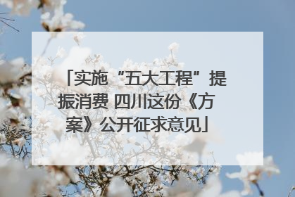 实施“五大工程”提振消费 四川这份《方案》公开征求意见