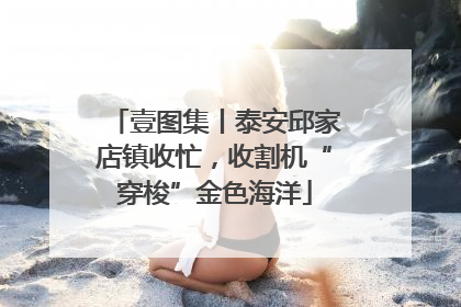 壹图集丨泰安邱家店镇收忙，收割机“穿梭”金色海洋