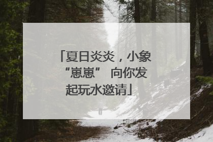 夏日炎炎，小象“崽崽” 向你发起玩水邀请