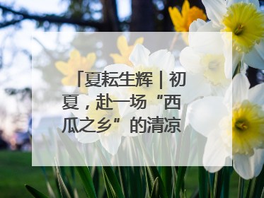 夏耘生辉｜初夏，赴一场“西瓜之乡”的清凉邀约吧！
