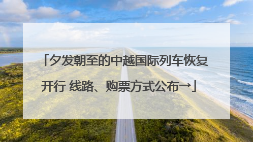 夕发朝至的中越国际列车恢复开行 线路、购票方式公布→
