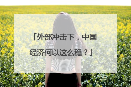 外部冲击下，中国经济何以这么稳？
