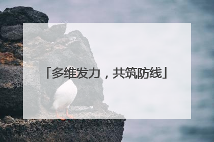 多维发力，共筑防线