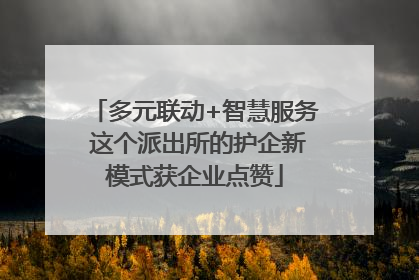 多元联动+智慧服务 这个派出所的护企新模式获企业点赞