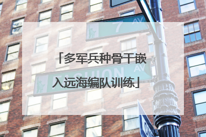 多军兵种骨干嵌入远海编队训练