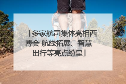 多家航司集体亮相西博会 航线拓展、智慧出行等亮点纷呈