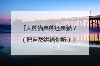 大熊猫是熊还是猫？（把自然讲给你听）