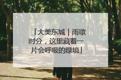 大美东城｜雨歇时分，这里藏着一片会呼吸的绿境