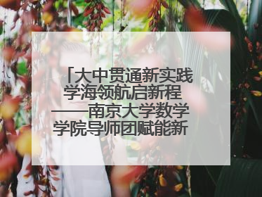 大中贯通新实践 学海领航启新程——南京大学数学学院导师团赋能新海初级中学九年级学子生涯规划