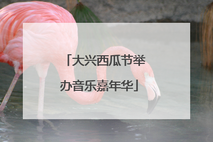 大兴西瓜节举办音乐嘉年华
