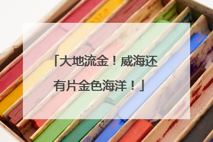 大地流金！威海还有片金色海洋！