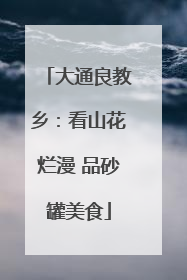 大通良教乡：看山花烂漫 品砂罐美食