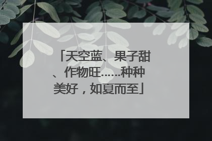 天空蓝、果子甜、作物旺……种种美好，如夏而至