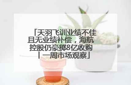 天羽飞训业绩不佳且无业绩补偿，海航控股仍豪掷8亿收购丨一周市场观察