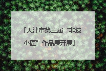 天津市第三届“非遗小匠”作品展开展