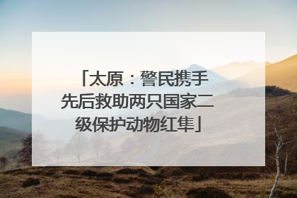 太原：警民携手 先后救助两只国家二级保护动物红隼