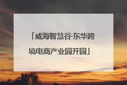 威海智慧谷·东华跨境电商产业园开园