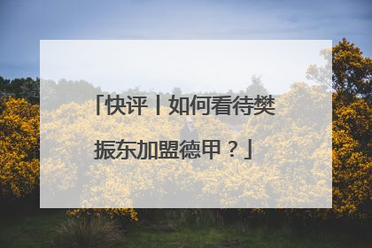 快评丨如何看待樊振东加盟德甲？