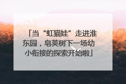 当“虹猫娃”走进淮东园，皂荚树下一场幼小衔接的探索开始啦