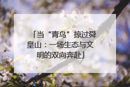 当“青鸟”掠过舜皇山：一场生态与文明的双向奔赴