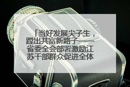 当好发展尖子生，蹚出共富新路子——省委全会部署激励江苏干部群众促进全体人民共同富裕