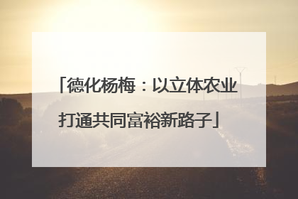 德化杨梅：以立体农业打通共同富裕新路子