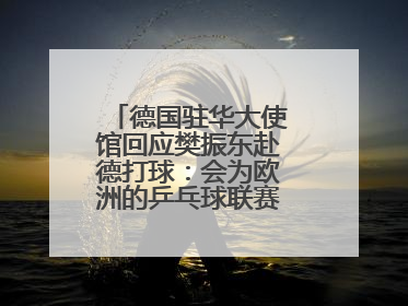 德国驻华大使馆回应樊振东赴德打球：会为欧洲的乒乓球联赛带来新的光彩
