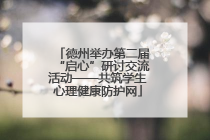 德州举办第二届“启心”研讨交流活动——共筑学生心理健康防护网