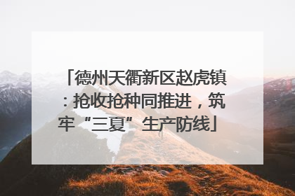 德州天衢新区赵虎镇：抢收抢种同推进，筑牢“三夏”生产防线