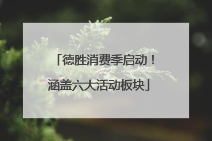 德胜消费季启动！涵盖六大活动板块
