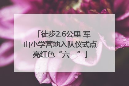 徒步2.6公里 军山小学营地入队仪式点亮红色“六一”