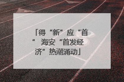 得“新”应“首” 海安“首发经济”热潮涌动